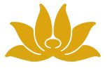 Hãng hàng không Quốc gia Việt Nam